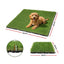 AR-GRASS-27-30CM-9P-01.jpg