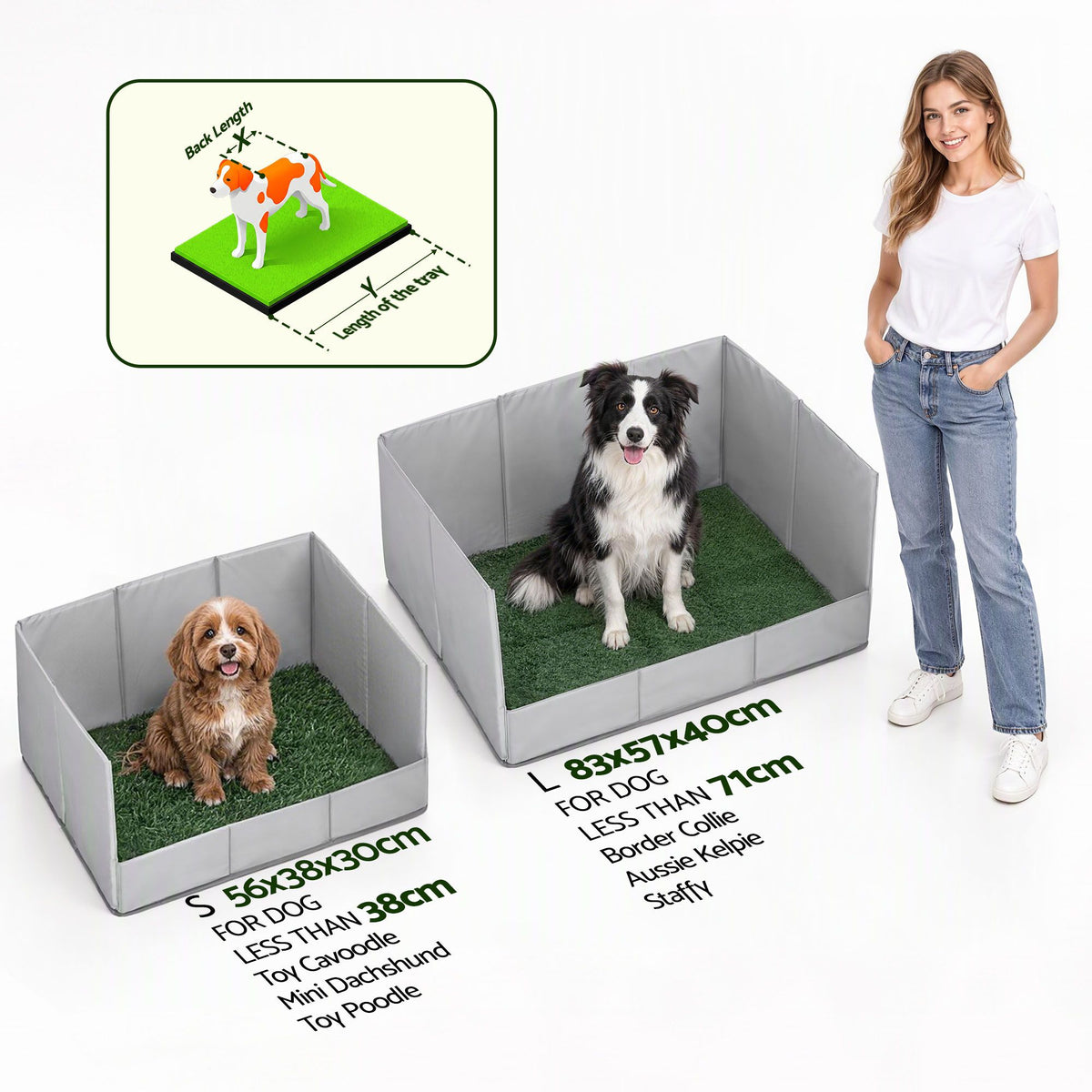 AR-GRASS-DOG-KIT-L-01.jpg