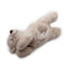 Puppy Warm Toy Bear Dog Heat Pack Comfort Plush Soft Toys Feeling Sleep Aid AFP
