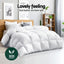QUILT-DFD-700-S1-202509021805-02.jpg