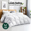 QUILT-DFD-700-S1-202509021805-02.jpg