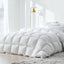 QUILT-DFD-95-SK-202502281412-00.jpg