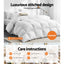 QUILT-GOOSE-700-Q-202502281412-05.jpg