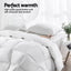 QUILT-GOOSE-800-K-202502281412-02.jpg