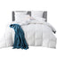 QUILT-GOOSE-800-K-202502281412-07.jpg
