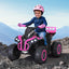 RCAR-MBIKE-ATV-L-PK-183795-06.jpg
