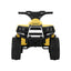 RCAR-MBIKE-ATV-YL-71687-01.jpg