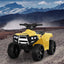 RCAR-MBIKE-ATV-YL-71687-07.jpg