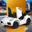 RCAR-SPORTS-WH-91827-04.jpg