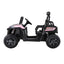 RCAR-UTV-2S-PK-202509291426-03.jpg