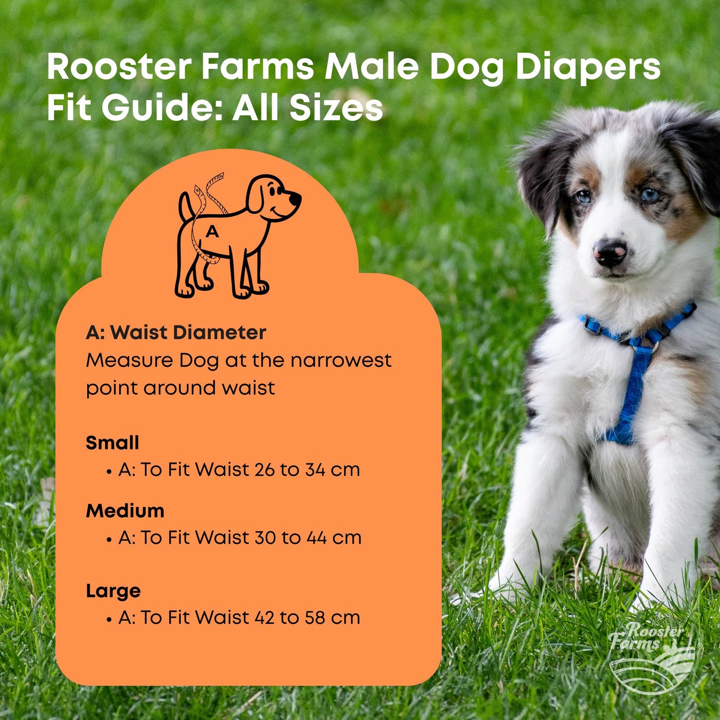 Rooster Farms Male Dog Diapers 3Pk Washable Reusable Nappies Hook + Loop Fit
