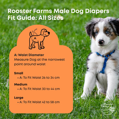 Rooster Farms Male Dog Diapers 3Pk Washable Reusable Nappies Hook + Loop Fit