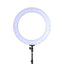RL-FL-006-BK-LV-02.jpg