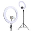 RL-FL-006-SI-LV-00.jpg