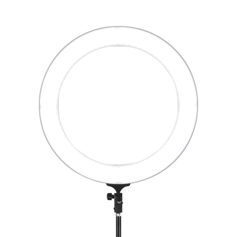 RL-FL-006-SI-LV-02.jpg