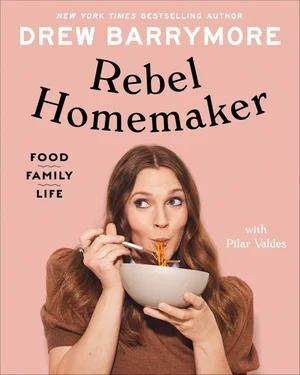 Rebel Homemaker