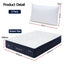 RoomSense Queen 34cm Medium Soft Gel Mattress Bundle with 2 Cooling Pillows