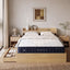 RoomSense Queen Firm Mattress 26cm Bundle with Storage Bed Frame