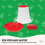 Rooster Farms 3Kg Automatic Chicken Feeder - Poultry Hen Feeding Seed Bucket