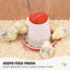 Rooster Farms 3Kg Automatic Chicken Feeder - Poultry Hen Feeding Seed Bucket