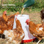 Rooster Farms 6Kg Automatic Chicken Feeder - Poultry Hen Feeding Seed Bucket