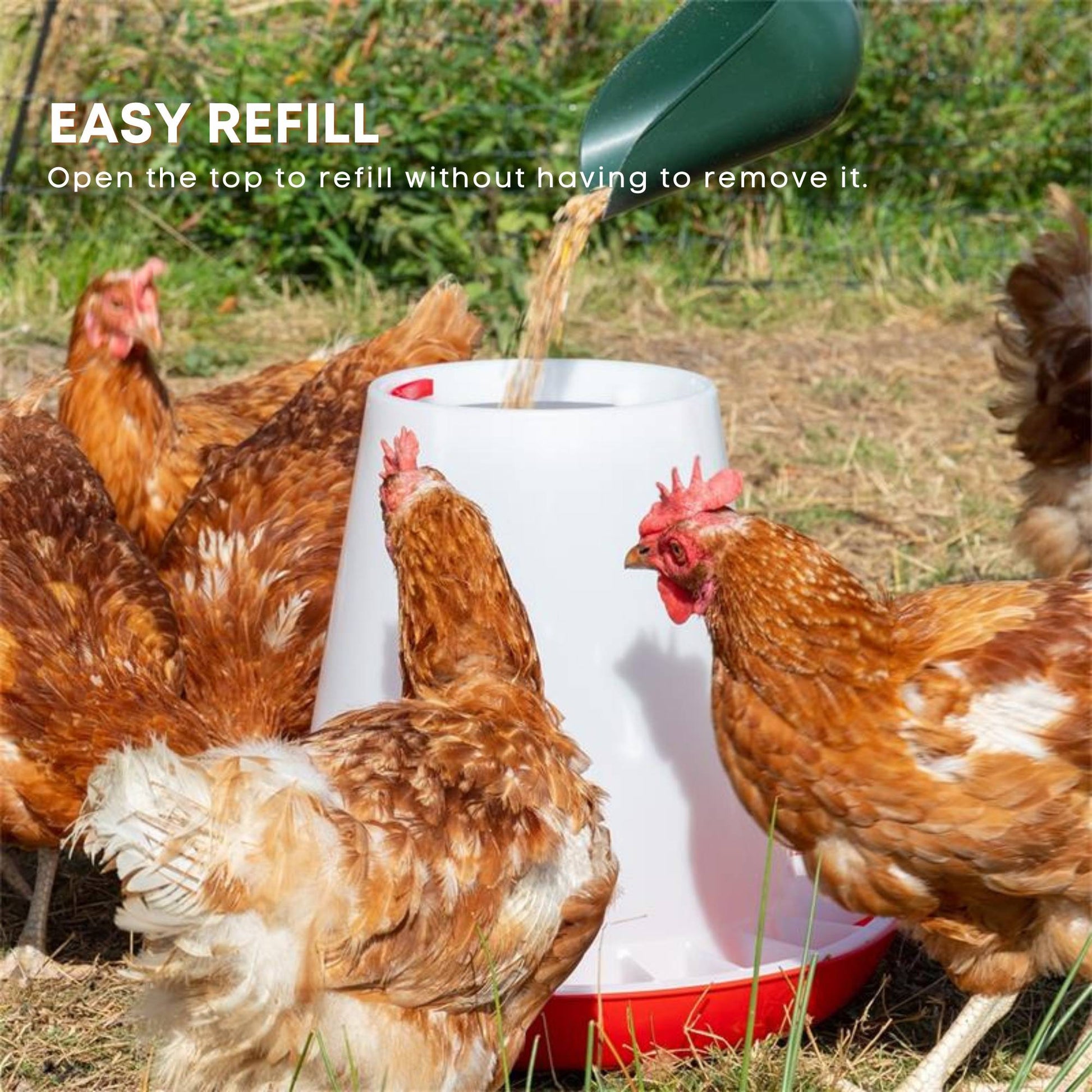 Rooster Farms 6Kg Automatic Chicken Feeder - Poultry Hen Feeding Seed Bucket