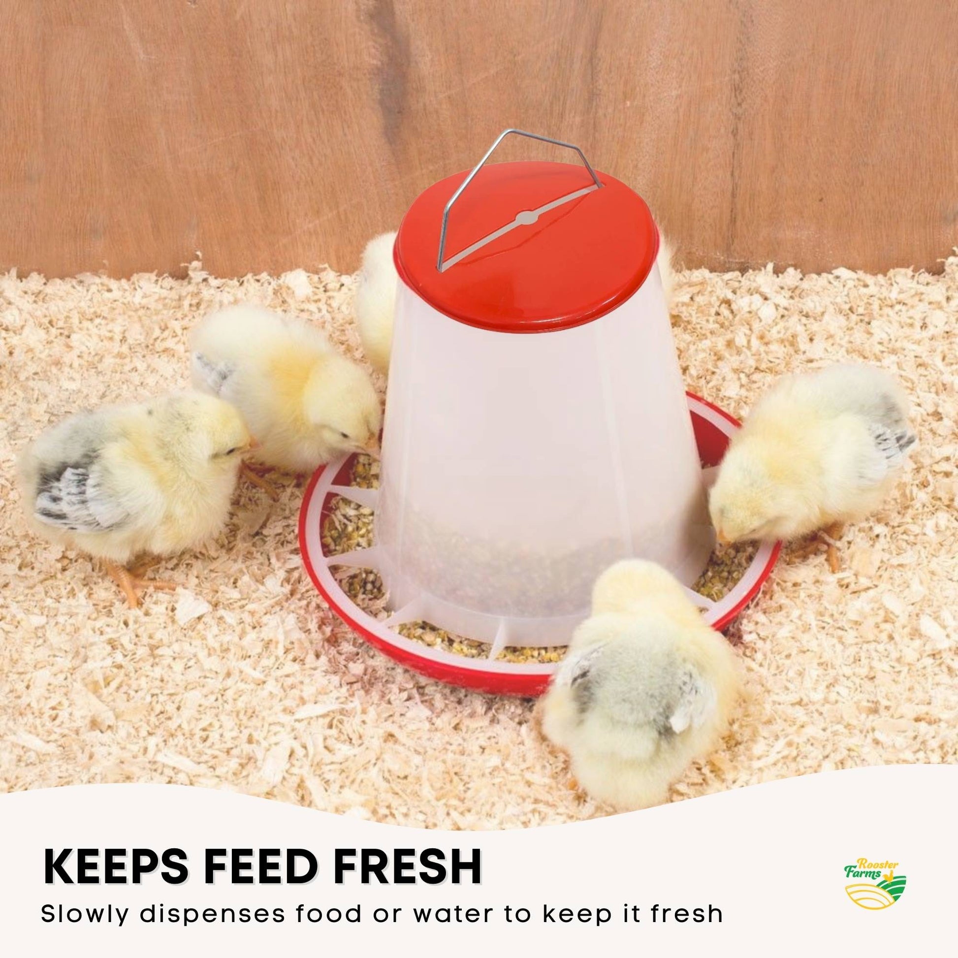 Rooster Farms Chicken Hen Feeder or Drinker Range Automatic Feeders and Waterers