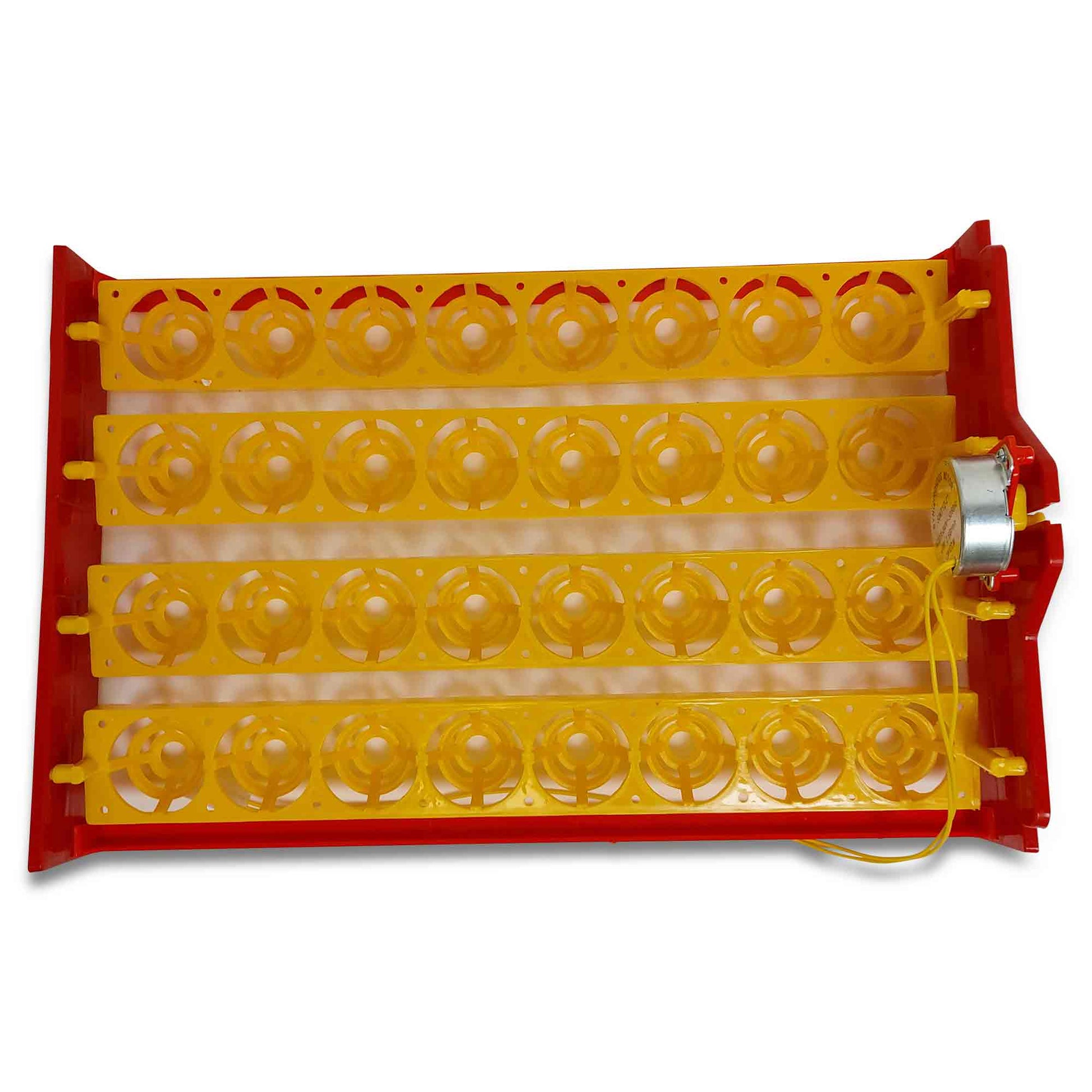 Rooster Farms Electric 32 Egg Incubator + Accessories for Chicken Quail Duck