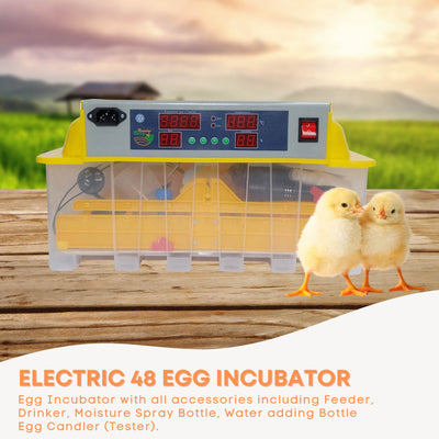 Rooster Farms Electric 48 Egg Incubator + Accessories for Chicken Quail Duck
