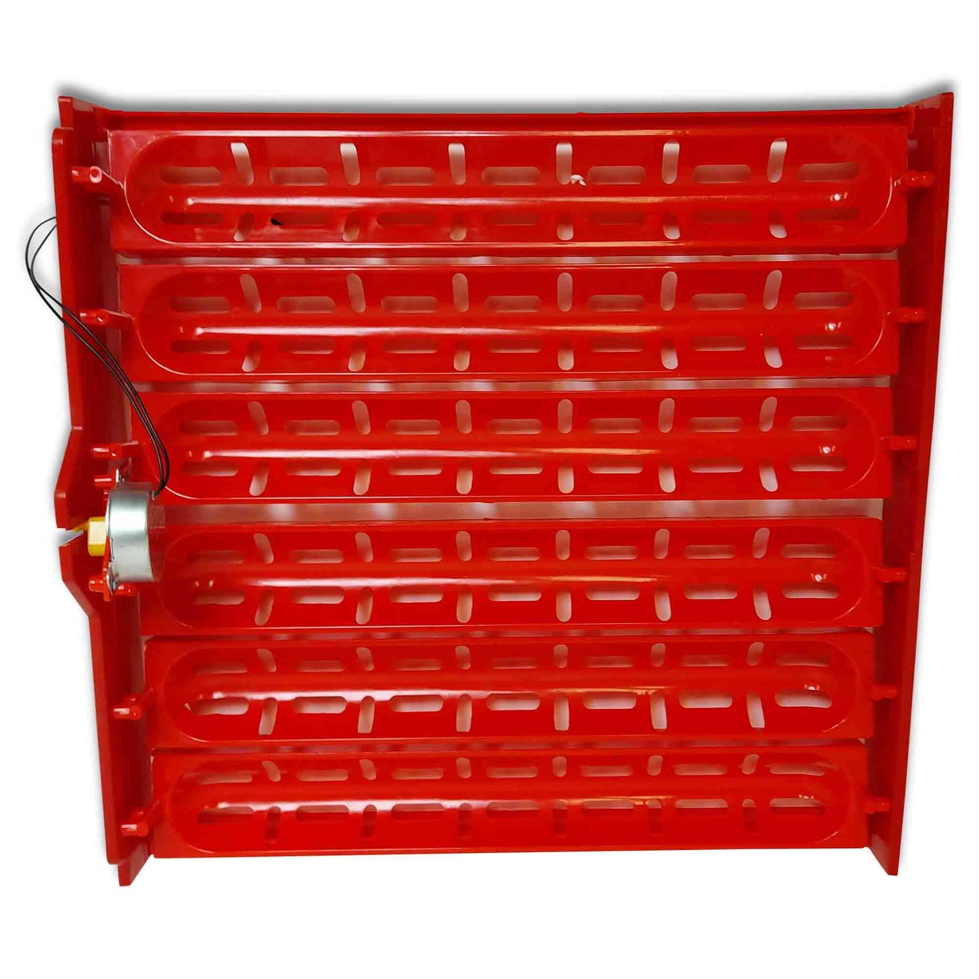 Rooster Farms Electric 60 Egg Incubator + Accessories for Chicken Quail Duck