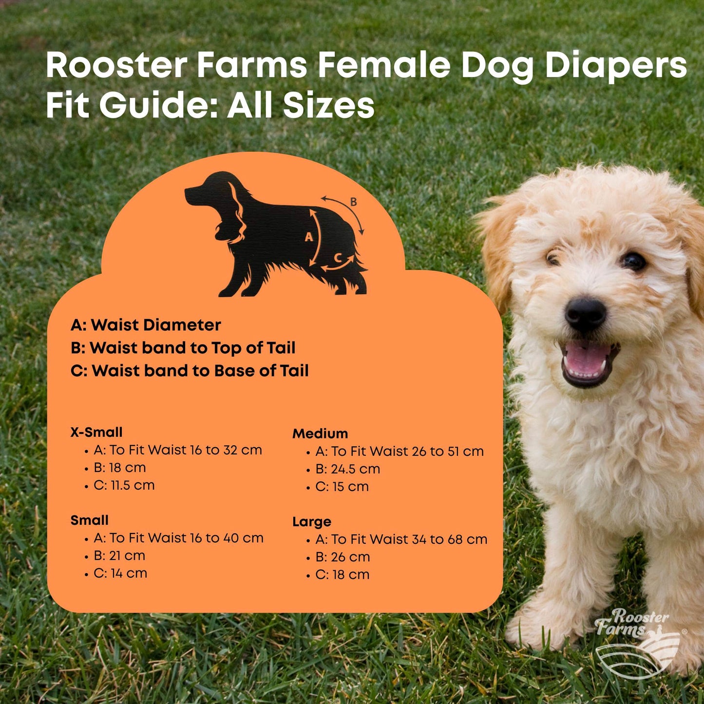 Rooster Farms Female Dog Diapers 3Pk Washable Reusable Nappies Hook + Loop Fit
