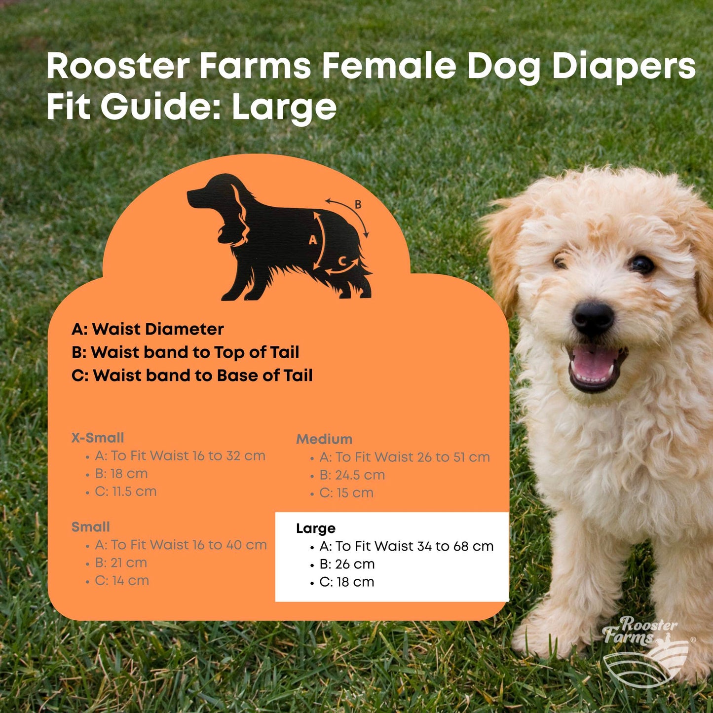 Rooster Farms Female Dog Diapers Large 3Pk - Washable Reusable Nappies Hook/Loop