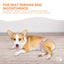 Rooster Farms Female Dog Diapers Large 3Pk - Washable Reusable Nappies Hook/Loop