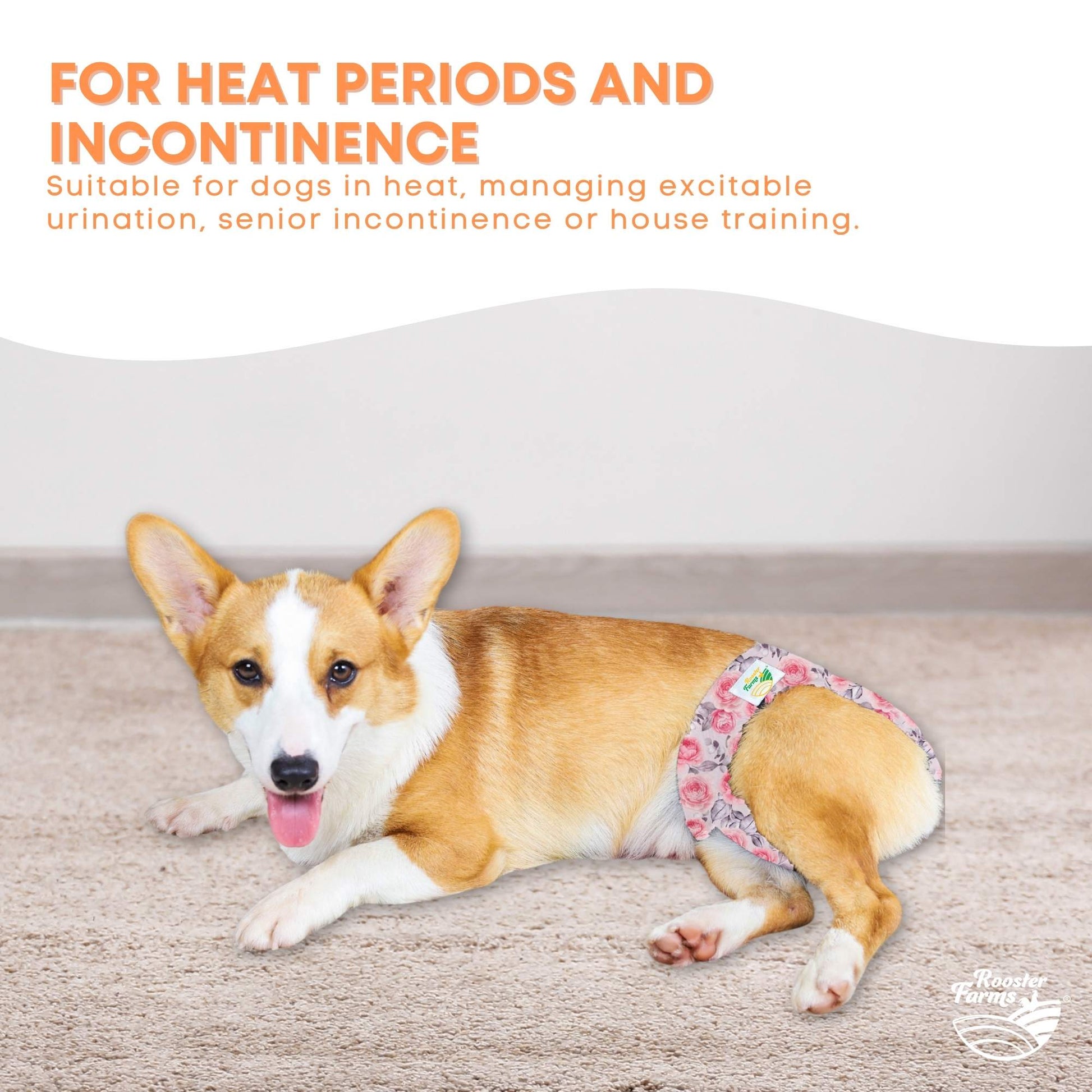 Rooster Farms Female Dog Diapers Large 3Pk - Washable Reusable Nappies Hook/Loop