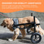 Rooster Farms Large Breed Dog Wheelchair - Adjustable Back Hind Leg Mobility Aid