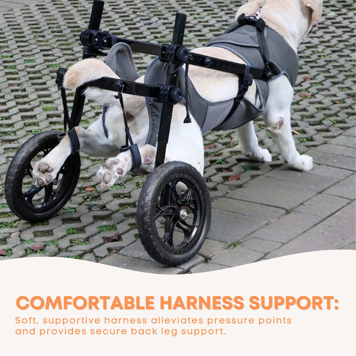 Rooster Farms Large Breed Dog Wheelchair - Adjustable Back Hind Leg Mobility Aid
