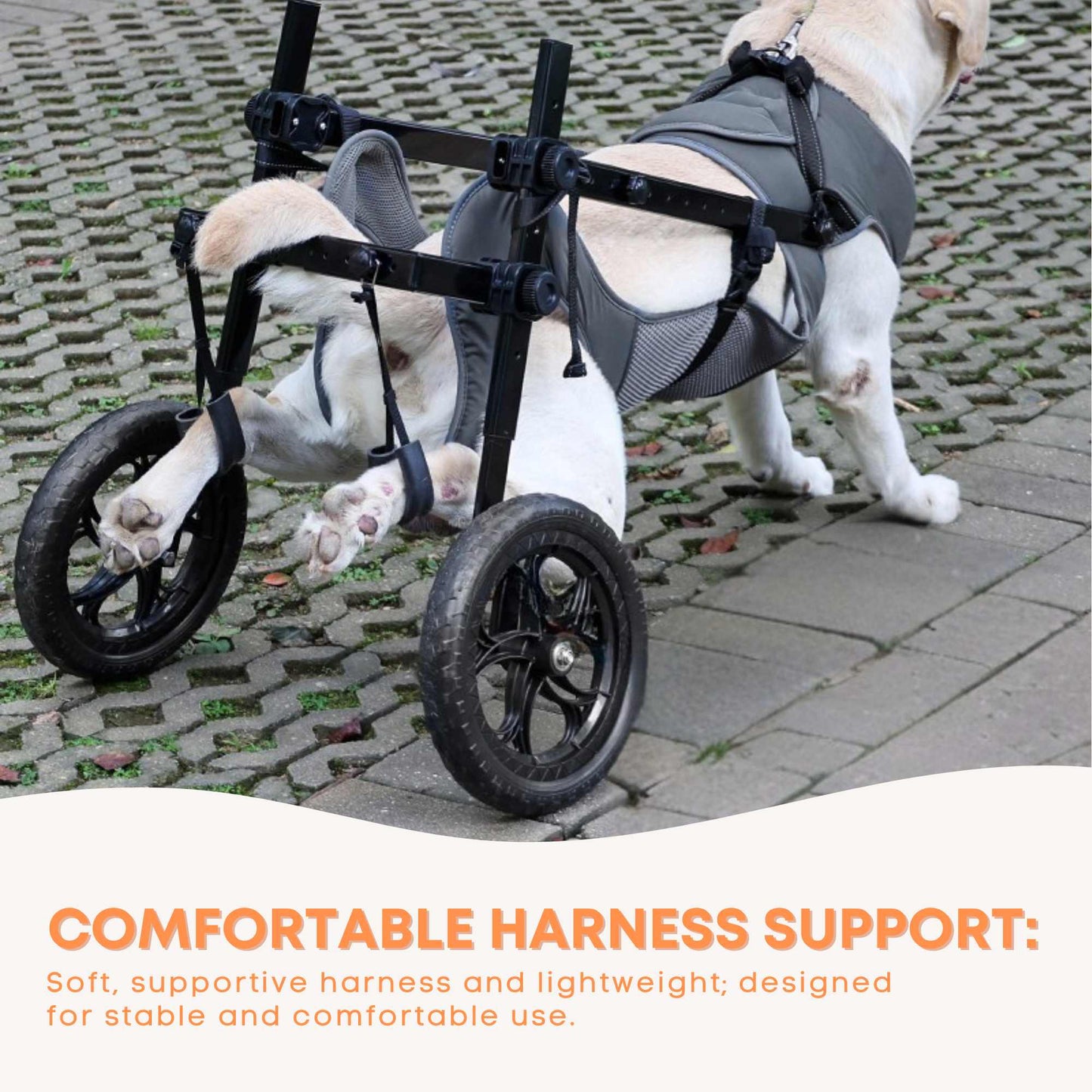 Rooster Farms Large Dog Wheelchair XL Harness - Adjustable Back Leg Aid