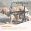 Rooster Farms Replacement Harness for Dog Wheelchair XXL - Large Dogs Up to 45Kg