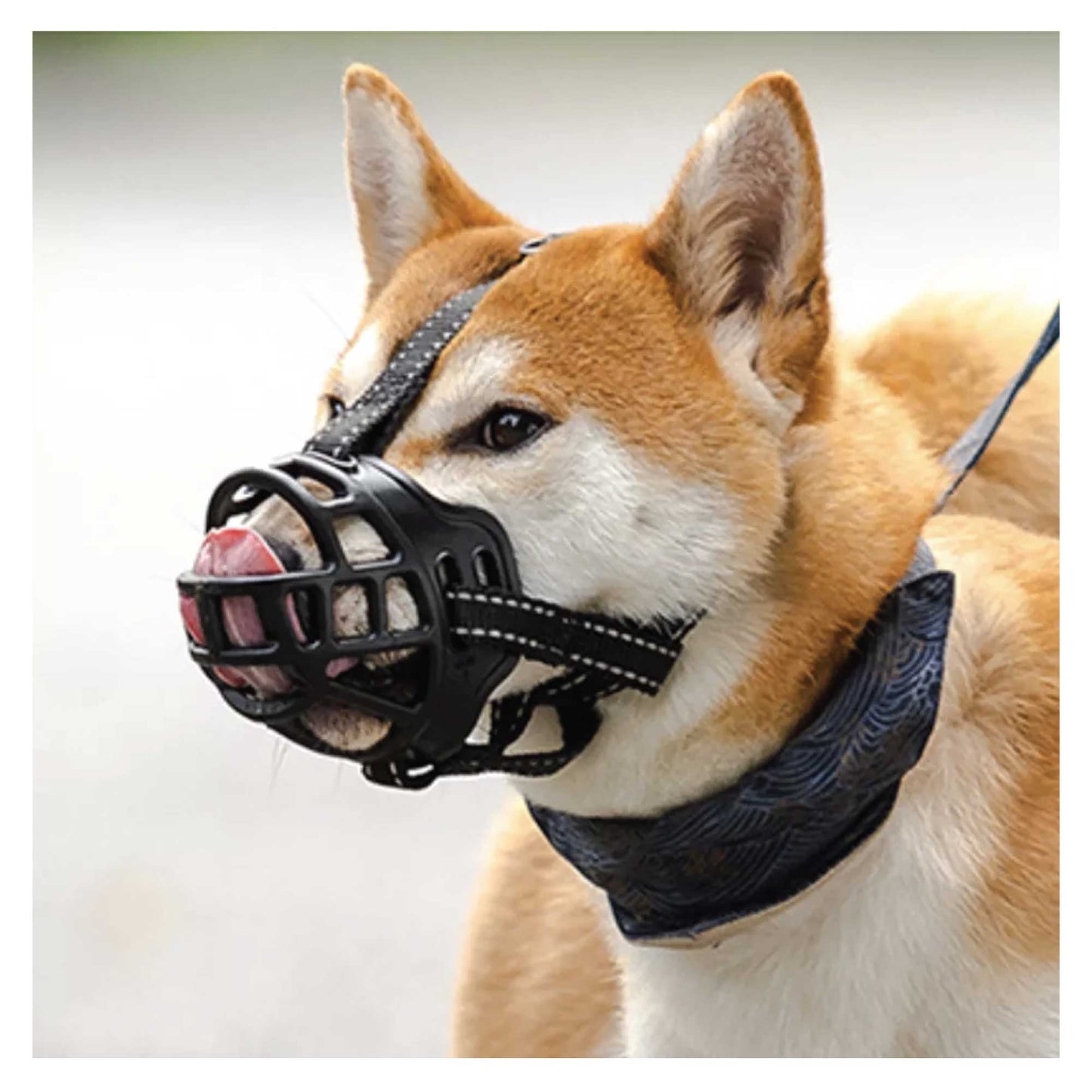 Rubber Dog Muzzle - Basket Mouth Guard For Puppy Barking Biting XS S M L XL XXL