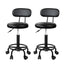 Artiss 2X Salon Stool Swivel Backrest Chair Barber Hairdressing Hydraulic Lift