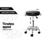 Artiss 2X Salon Stool Round Swivel Barber Hair Bar Stools Hydraulic Lift Black