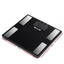 SCALE-BFAT-MULTI-BK-01.jpg