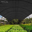 SH-CL-183X200-195-BK-202502281916-06.jpg