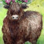 Seasons of the Witch: Beltane Oracle