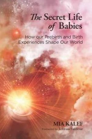 Secret Life of Babies, The: How Our Prebirth and Birth Experiences Shape Our World