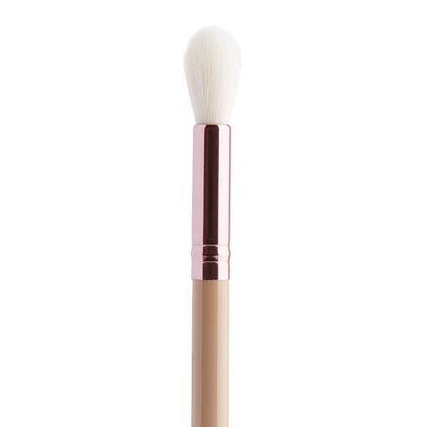 Silk x Fernando 10 Piece Brush Set