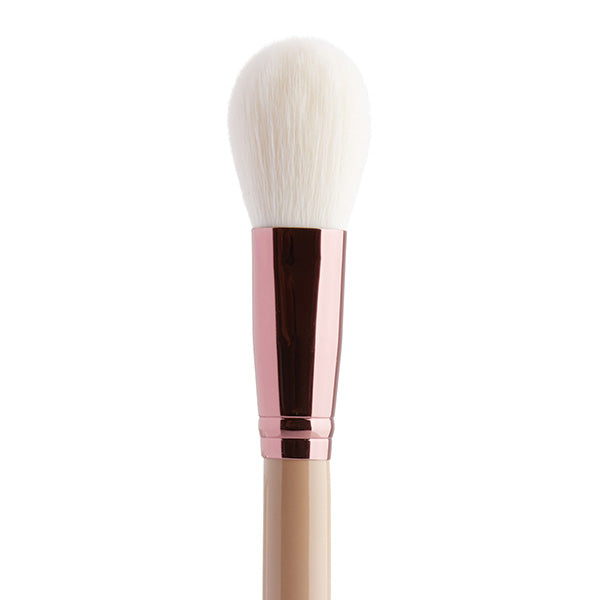 Silk x Fernando 10 Piece Brush Set