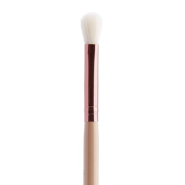 Silk x Fernando 10 Piece Brush Set