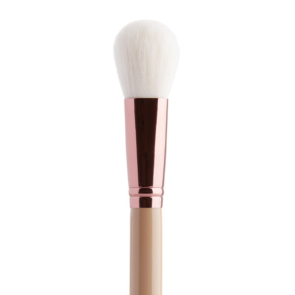 Silk x Fernando 10 Piece Brush Set