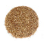 Stay Golden - Vegan Glitter Dust